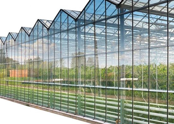 Multilaag Warmteisolerend Glas voor Serre Zonneglas